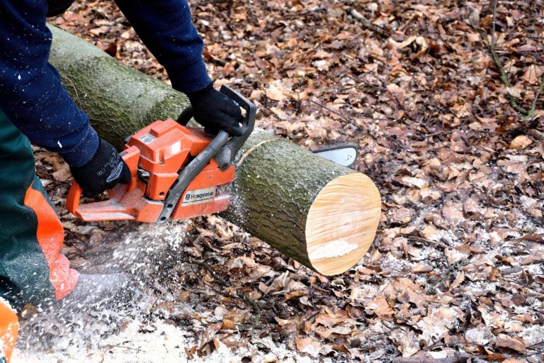 Toolbox Talk Chainsaw Safety