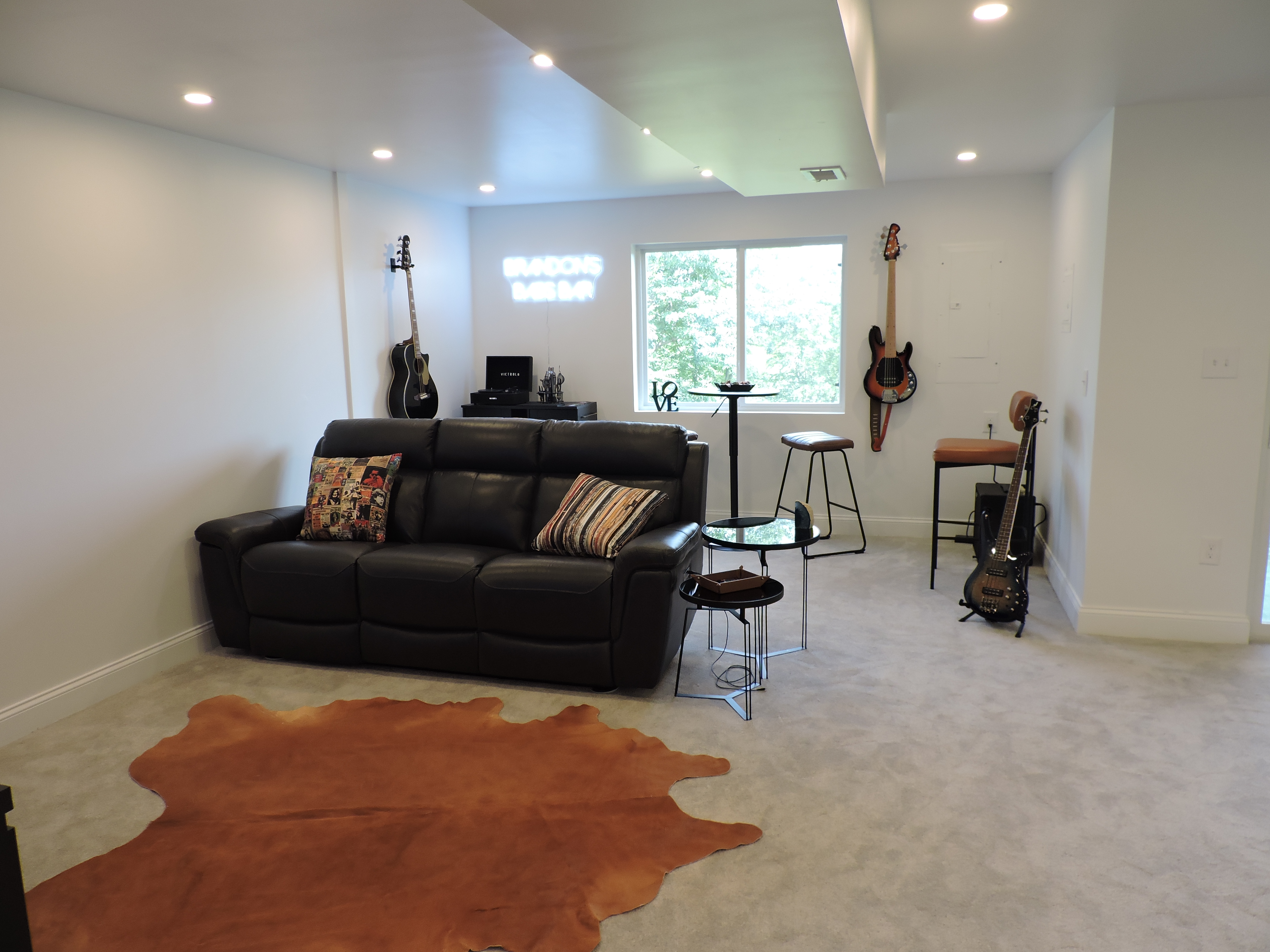 Basement Remodel